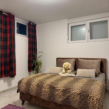 Atina Premium פטרוברדין