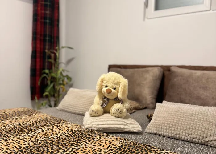 Atina Premium Appartamento Petrovaradin